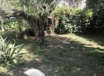 4861542278140IMG_4126